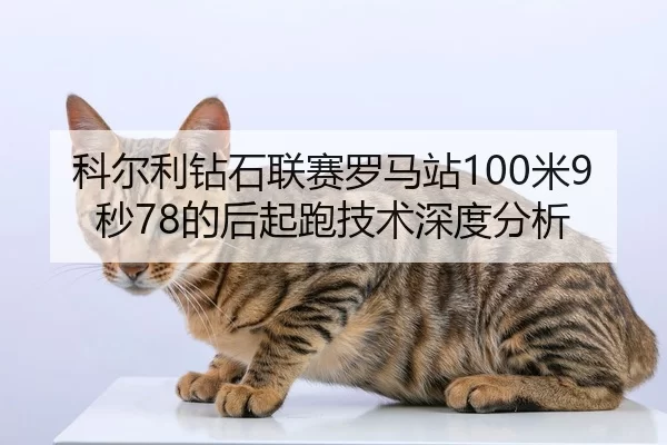 科尔利钻石联赛罗马站100米9秒78的后起跑技术深度分析